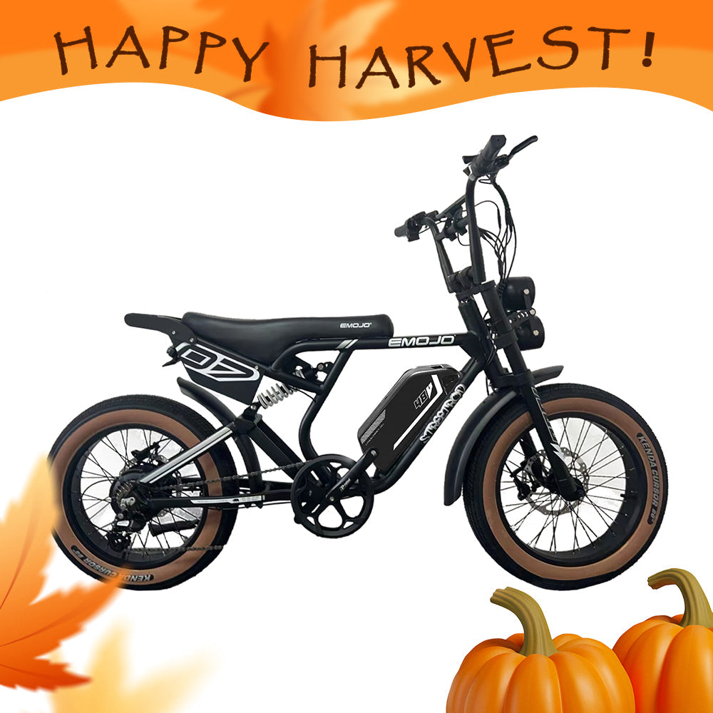 Emojo Streetrod 750W Electric Bike - EBK45