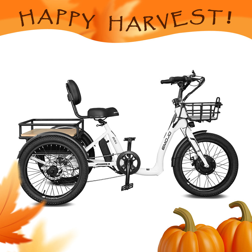 Emojo Bull 500W 3-Wheel Electric Trike - EBK44