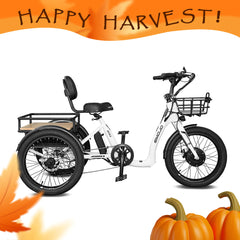 Emojo Bull 500W 3-Wheel Electric Trike - EBK44