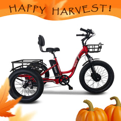 Emojo Caddy Pro 500W 3-Wheel Electric Trike - EBK18