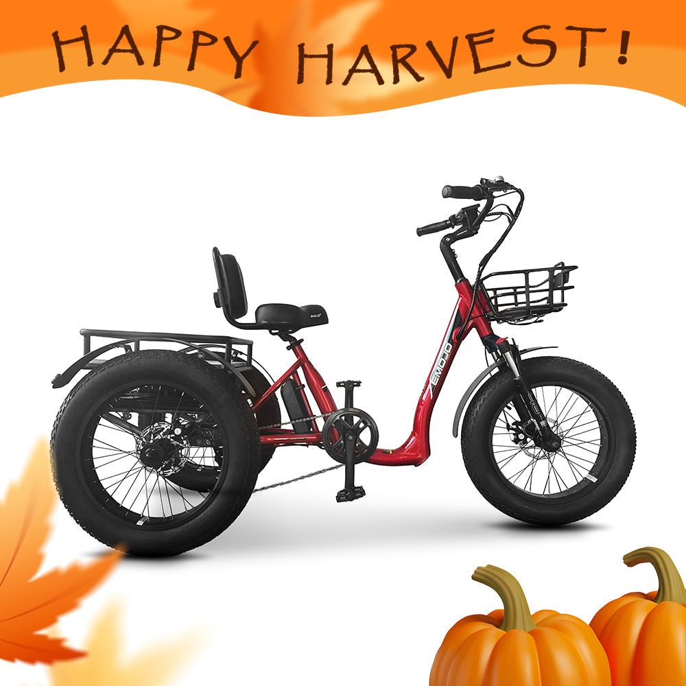 Emojo Bull Trail 750W 3-Wheel Electric Trike - EBK48