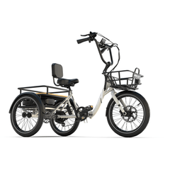 Emojo Dexter 500W 3-Wheel Electric Trike - EBK49