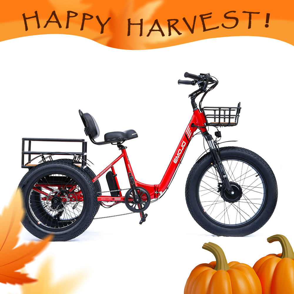Emojo Bison Pro 750W 3-Wheel Electric Trike - EBK12