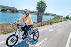 Emojo Bull 500W 3-Wheel Electric Trike - EBK44