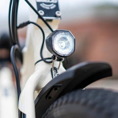 Emojo Bull 500W 3-Wheel Electric Trike - EBK44