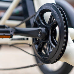 Emojo Bull 500W 3-Wheel Electric Trike - EBK44