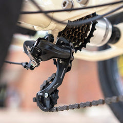 Emojo Bull 500W 3-Wheel Electric Trike - EBK44