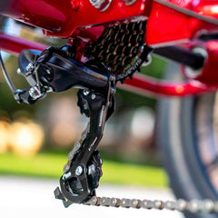 Emojo Caddy Pro 500W 3-Wheel Electric Trike - EBK18