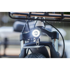 Emojo Bison Pro 750W 3-Wheel Electric Trike - EBK12