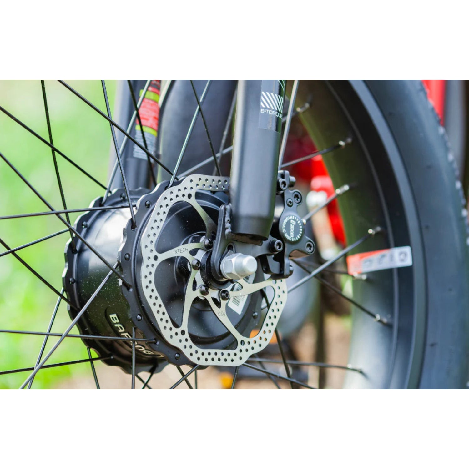 Emojo Bison Pro 750W 3-Wheel Electric Trike - EBK12