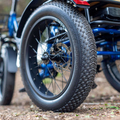 Emojo Bull Trail 750W 3-Wheel Electric Trike - EBK48