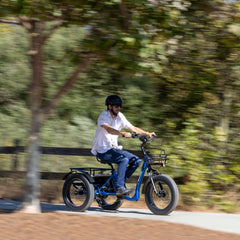 Emojo Bull Trail 750W 3-Wheel Electric Trike - EBK48