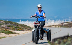 Emojo Caddy Pro 500W 3-Wheel Electric Trike - EBK18