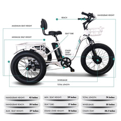 Emojo Caddy Pro 500W 3-Wheel Electric Trike - EBK18
