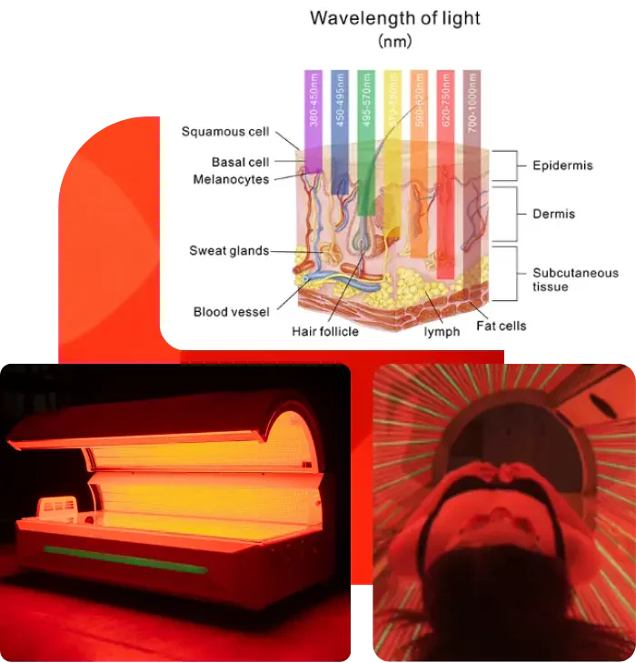 Airvida Radiance Red Light Therapy Bed For Home & Commercial Use
