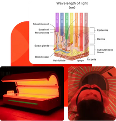 Airvida Radiance Red Light Therapy Bed For Home & Commercial Use