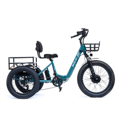 Emojo Bison Pro 750W 3-Wheel Electric Trike - EBK12