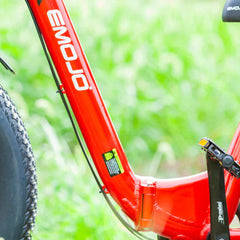 Emojo Bison Pro 750W 3-Wheel Electric Trike - EBK12