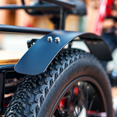 Emojo Bison Pro 750W 3-Wheel Electric Trike - EBK12