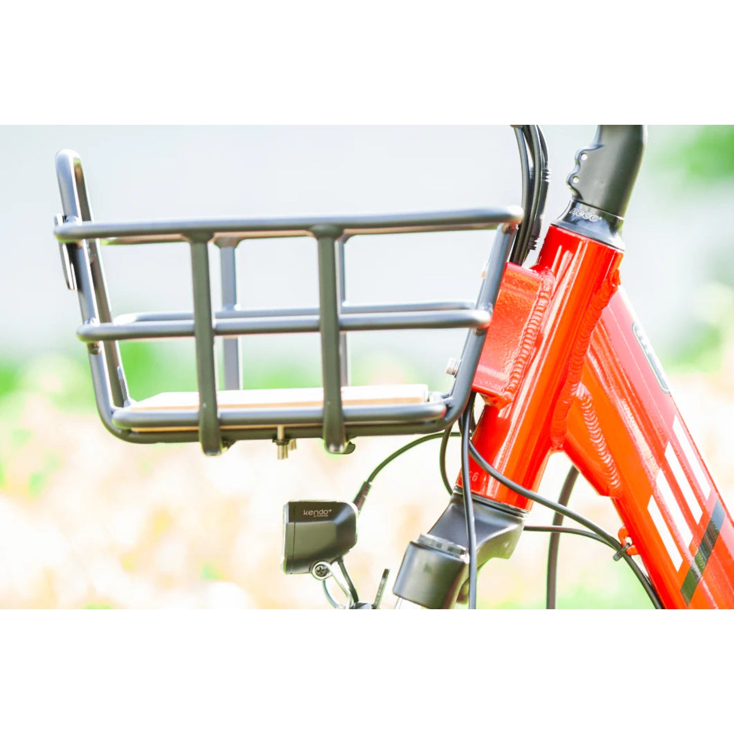 Emojo Bison Pro 750W 3-Wheel Electric Trike - EBK12