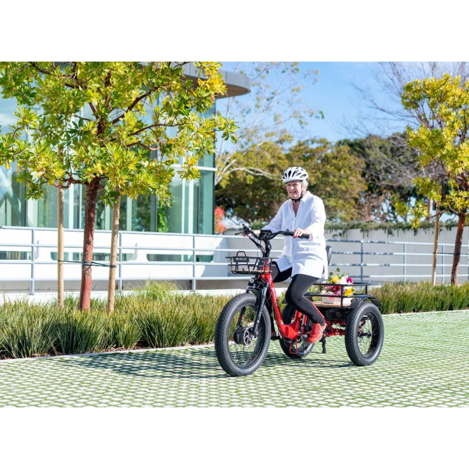 Emojo Bison Pro 750W 3-Wheel Electric Trike - EBK12