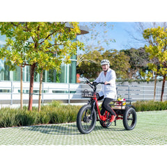 Emojo Bison Pro 750W 3-Wheel Electric Trike - EBK12