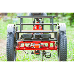 Emojo Bison Pro 750W 3-Wheel Electric Trike - EBK12
