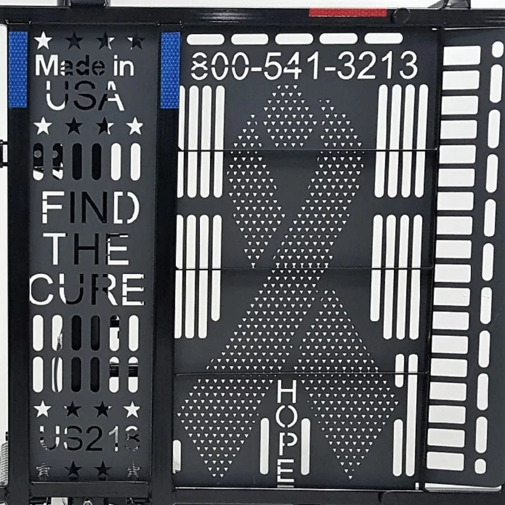 WheelChair Carrier Hold n' Go Electric Lift for Power Chairs/Scooters - Model US218