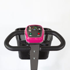 Reyhee Cruiser Electric Mobility Scooter 180W 24V - R100