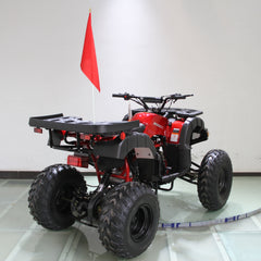 Ricky Power Sports RPS Desert 200cc Utility 4 Stroke ATV - RPS200ATV-UA