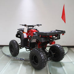 Ricky Power Sports RPS Desert 200cc Utility 4 Stroke ATV - RPS200ATV-UA