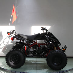 Ricky Power Sports RPS  Blizzard 200cc Sports 4 Stroke ATV - TK200ATV-C5