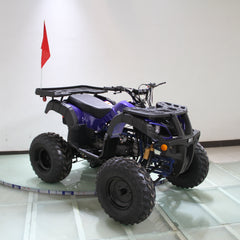 Ricky Power Sports RPS Desert 200cc Utility 4 Stroke ATV - RPS200ATV-UA