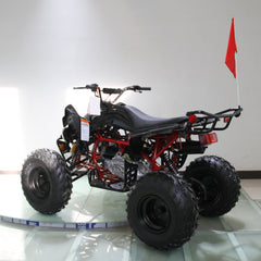 Ricky Power Sports RPS  Blizzard 200cc Sports 4 Stroke ATV - TK200ATV-C5