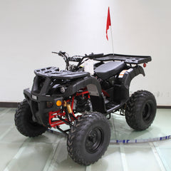 Ricky Power Sports RPS Desert 200cc Utility 4 Stroke ATV - RPS200ATV-UA