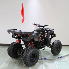Ricky Power Sports RPS Desert 200cc Utility 4 Stroke ATV - RPS200ATV-UA