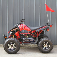 Ricky Power Sports RPS  Blizzard 200cc Sports 4 Stroke ATV - TK200ATV-C5