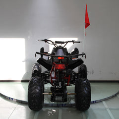 Ricky Power Sports RPS  Blizzard 200cc Sports 4 Stroke ATV - TK200ATV-C5