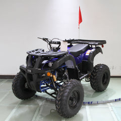 Ricky Power Sports RPS Desert 200cc Utility 4 Stroke ATV - RPS200ATV-UA