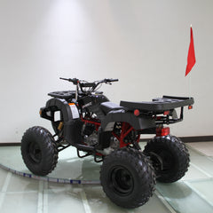 Ricky Power Sports RPS Desert 200cc Utility 4 Stroke ATV - RPS200ATV-UA