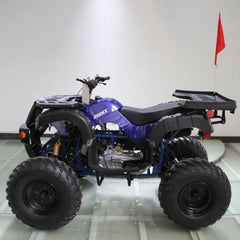 Ricky Power Sports RPS Desert 200cc Utility 4 Stroke ATV - RPS200ATV-UA
