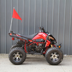 Ricky Power Sports RPS  Blizzard 200cc Sports 4 Stroke ATV - TK200ATV-C5