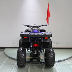 Ricky Power Sports RPS Desert 200cc Utility 4 Stroke ATV - RPS200ATV-UA