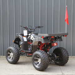 Ricky Power Sports RPS Desert 200cc Utility 4 Stroke ATV - RPS200ATV-UA