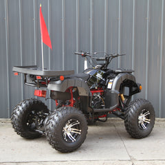 Ricky Power Sports RPS Desert 200cc Utility 4 Stroke ATV - RPS200ATV-UA