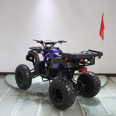 Ricky Power Sports RPS Desert 200cc Utility 4 Stroke ATV - RPS200ATV-UA