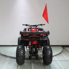 Ricky Power Sports RPS Desert 200cc Utility 4 Stroke ATV - RPS200ATV-UA