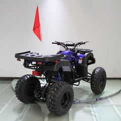 Ricky Power Sports RPS Desert 200cc Utility 4 Stroke ATV - RPS200ATV-UA