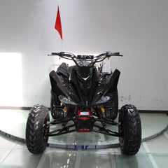 Ricky Power Sports RPS  Blizzard 200cc Sports 4 Stroke ATV - TK200ATV-C5