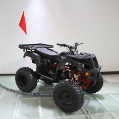 Ricky Power Sports RPS Desert 200cc Utility 4 Stroke ATV - RPS200ATV-UA